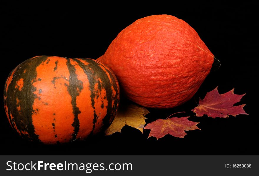 Bright pumpkins make an autumn still-life