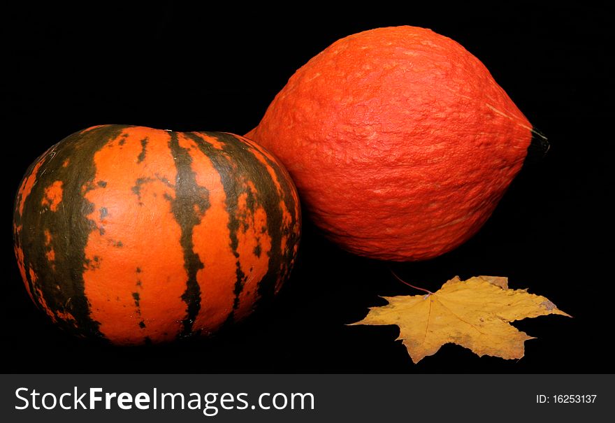 Bright pumpkins make an autumn still-life