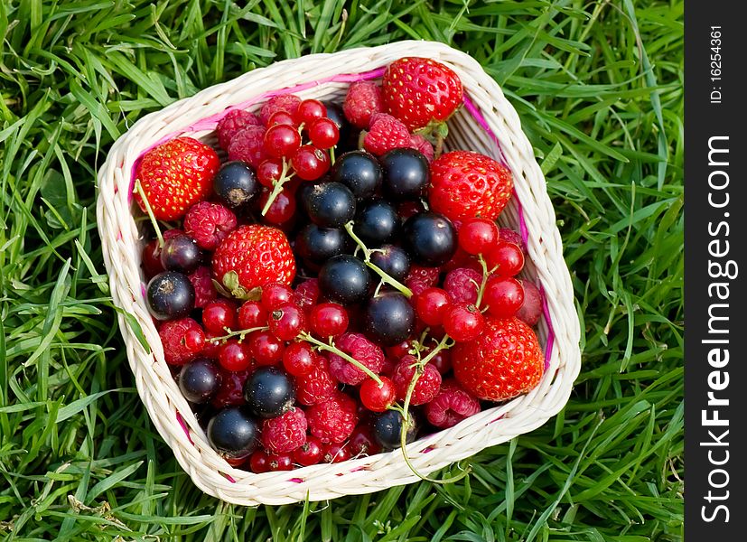 Ripe berries in a basket tpo view