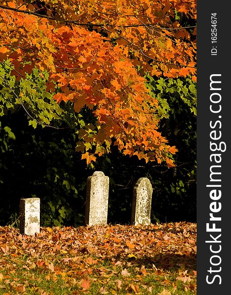 Spooky graveyard with fall leaves on ground by tombs. Spooky graveyard with fall leaves on ground by tombs