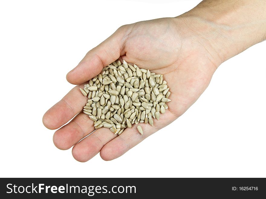 Sunflower seeds in hand on a white background