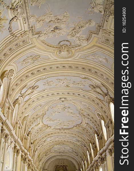 Vaulted into the royal palace in Turin