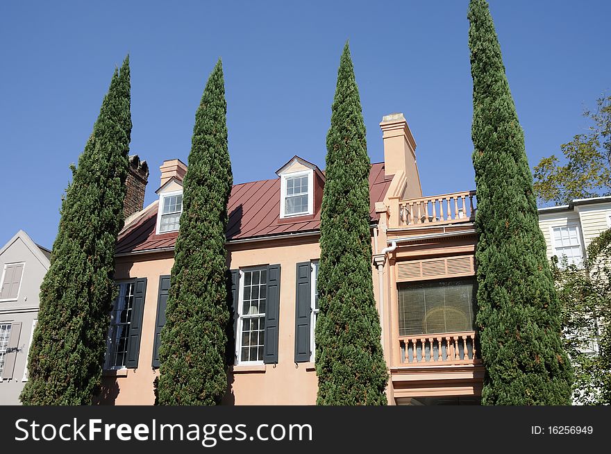 Shrubs And Southern Mansion