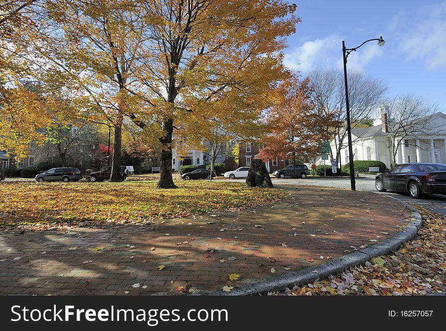 Sidewalk During Autumn