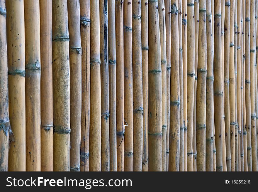 Bamboo Fence, Thailand.