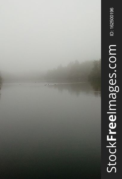 Fog, magic of nature, gray and silver sky, tranquility and peace.