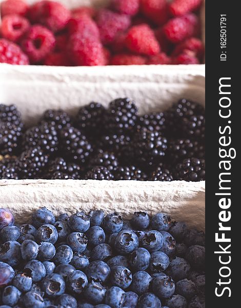 Fresh Bio Blackberry, Blueberry, Strawberry