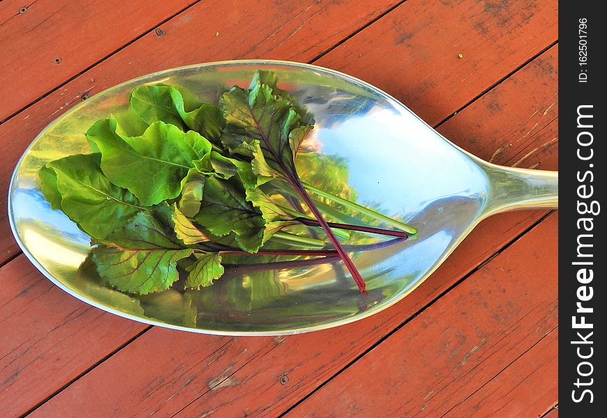 A spoonful of fresh beet greens
