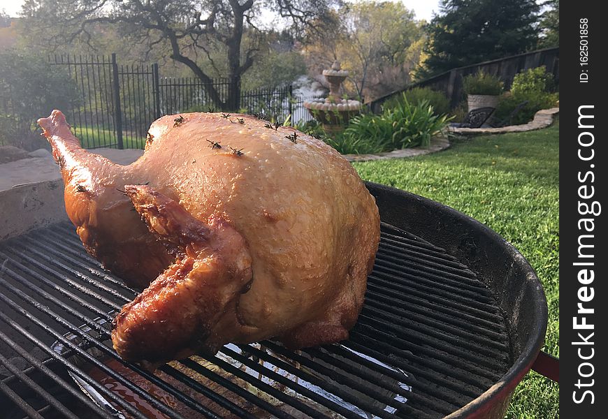 Grilled turkey