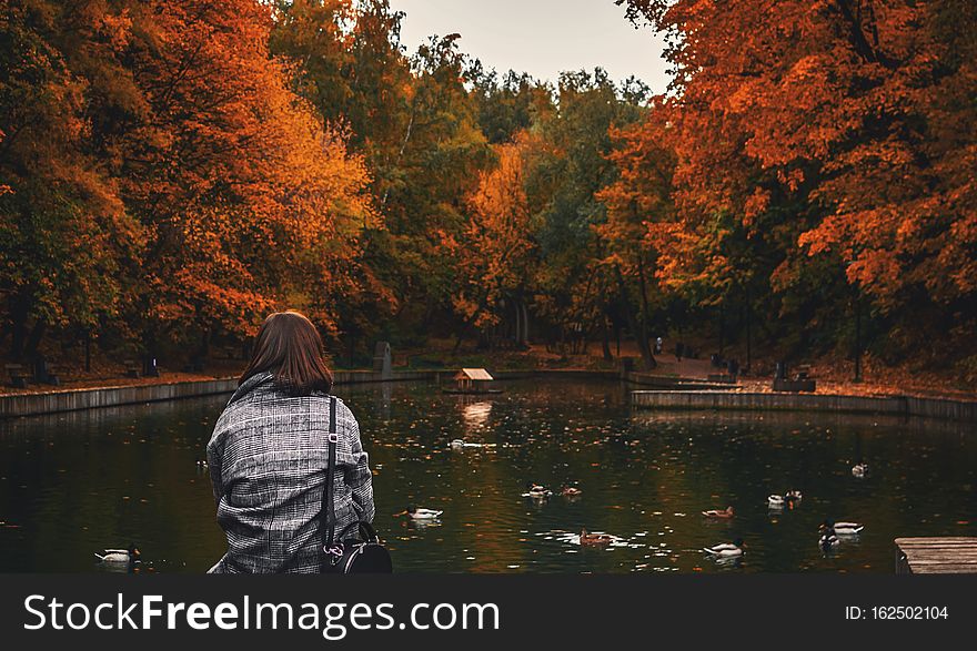 Back View Of Woman Sitting On Old Wooden Pier Over Calm Pond In The Park.