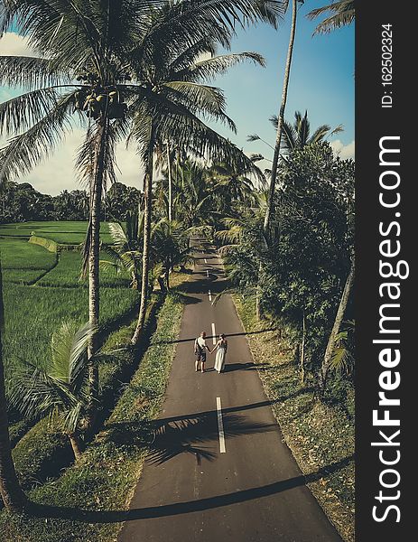 Aerial shot of young couple walking among coconut palm trees. Bali island.