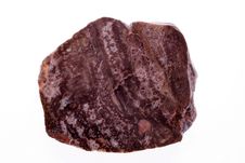 Petrified Wood Stock Image Petrified Wood Stock Image