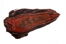 Petrified Wood Stock Photos Petrified Wood Stock Photos