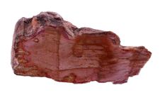 Petrified Wood Stock Image Petrified Wood Stock Image