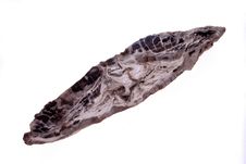 Petrified Wood Stock Photography Petrified Wood Stock Photography