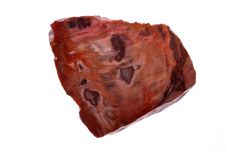 Petrified Wood Royalty Free Stock Image Petrified Wood Royalty Free Stock Image