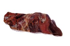 Petrified Wood Royalty Free Stock Photography Petrified Wood Royalty Free Stock Photography