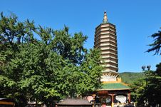 Buddha S Tooth Relic Stock Image Buddha S Tooth Relic Stock Image