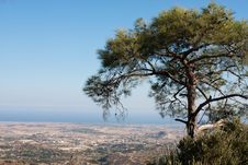 Lone Cedar On A Mountain Top Stock Image Lone Cedar On A Mountain Top Stock Image