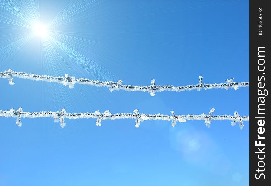 Barbed wire covered with snow