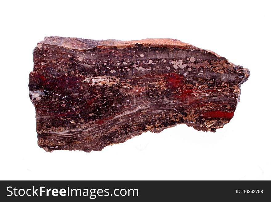 Petrified wood