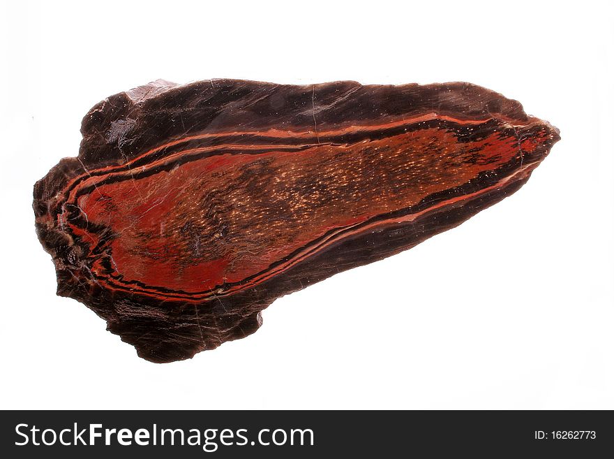 Petrified wood