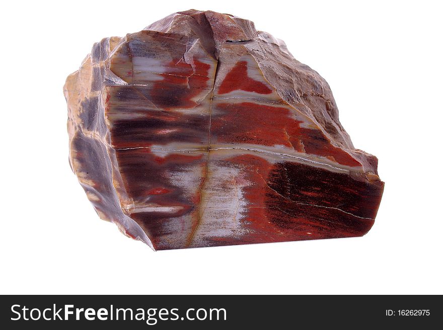 Petrified Wood