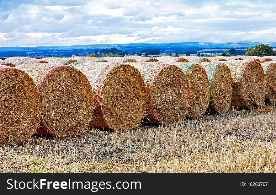 Rows of straw bales in the middle of the field surrounded by beautiful countryside