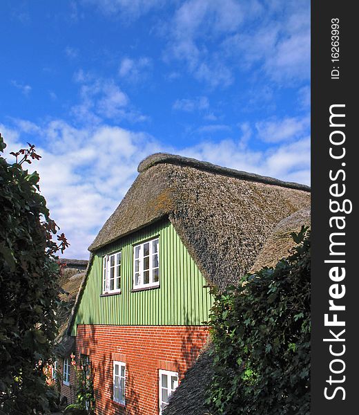 Reed covered house in North Frisia, Northern Germany