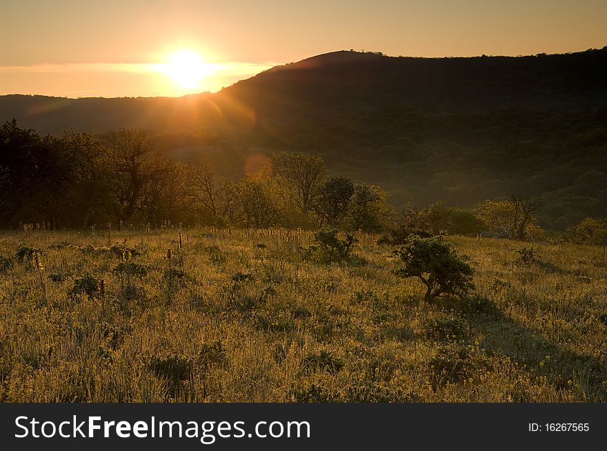 Sunrise In Mountains