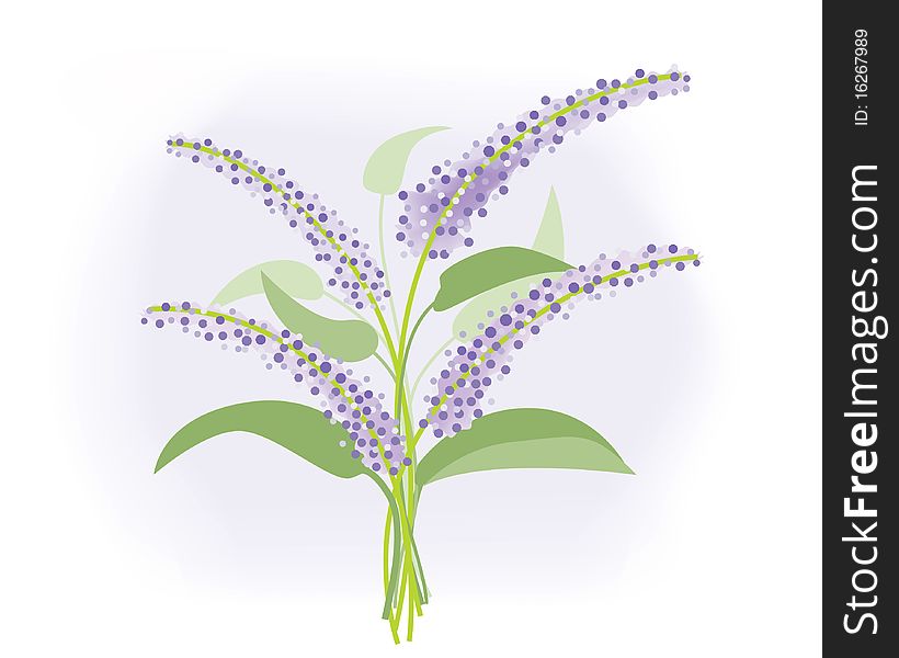 Flower Illustration