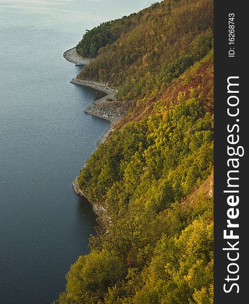 An aerial view on an autumn shoreline with a thick forest