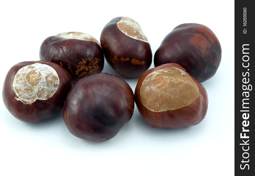 Some brown fruits of a tree of a chestnut on a white background