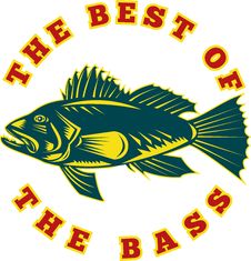 Sea Bass Fish Best Stock Image