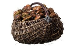 Basket With Mushrooms Stock Photography Basket With Mushrooms Stock Photography