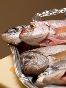 Cleaned Fresh Fish On The Plate Stock Photography Cleaned Fresh Fish On The Plate Stock Photography