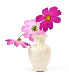 Daisy In A Vase Stock Image Daisy In A Vase Stock Image