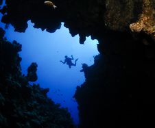 Underwater Canyon And Diver Stock Image Underwater Canyon And Diver Stock Image