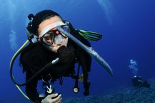 Scuba Diver And Cornett Fish Royalty Free Stock Photo Scuba Diver And Cornett Fish Royalty Free Stock Photo