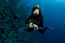Red Coral And Diver Royalty Free Stock Image Red Coral And Diver Royalty Free Stock Image