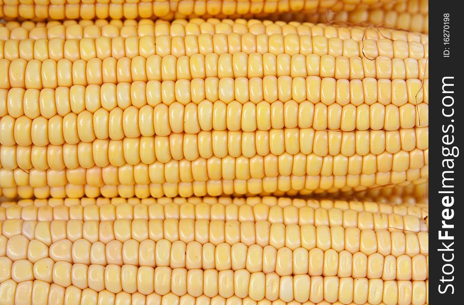 Close up of corn cob