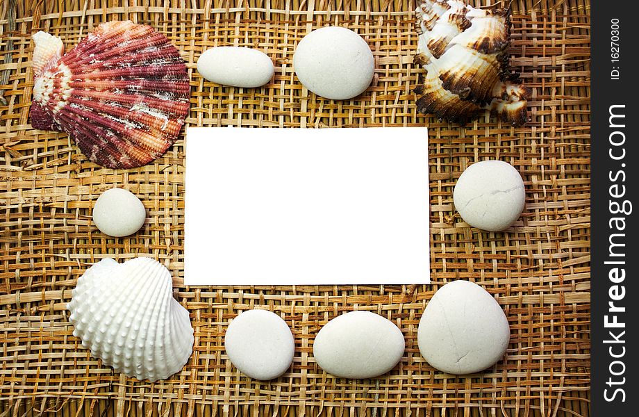White background with Seashell frame