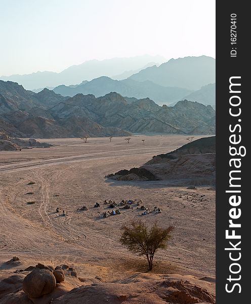 Bedouins taking a rest in the desert, Egypt. Bedouins taking a rest in the desert, Egypt