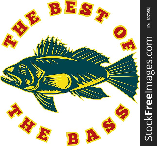 Sea bass fish best