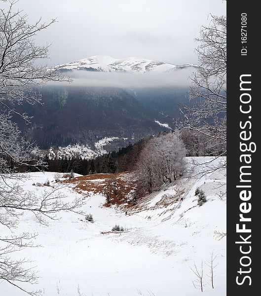 Beautiful winter landscape in the Carpathian mountains