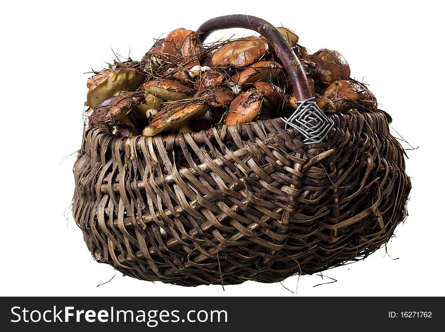 Basket with mushrooms