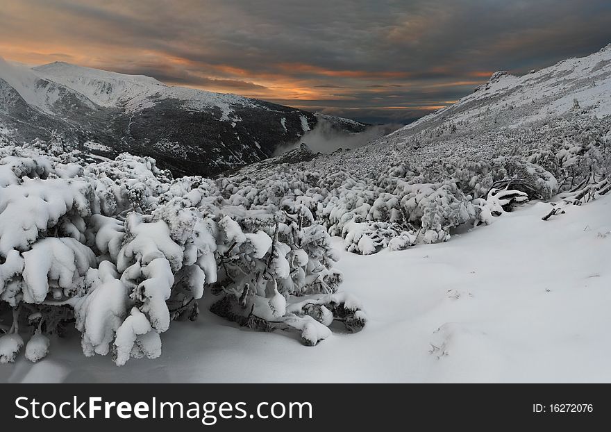 Mystical winter evening in the Carpathian mountains