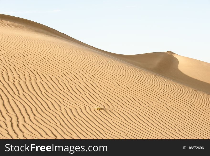 Sand dune slope with wave with sand. Sand dune slope with wave with sand.