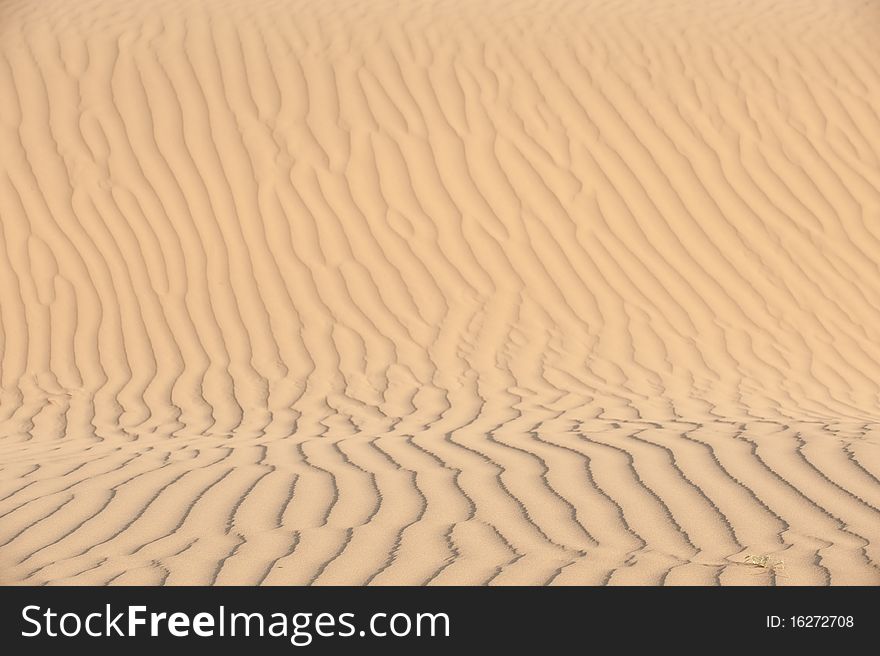 Sand pattern on a vertical surface of dune. Sand pattern on a vertical surface of dune.