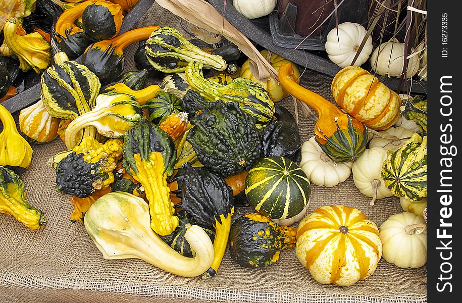 Variety of colorful gourds displayed on burlap